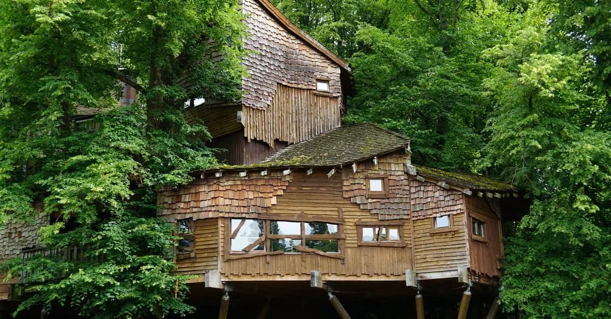 Expériences Insolites à Tester : Aventures Originales en France