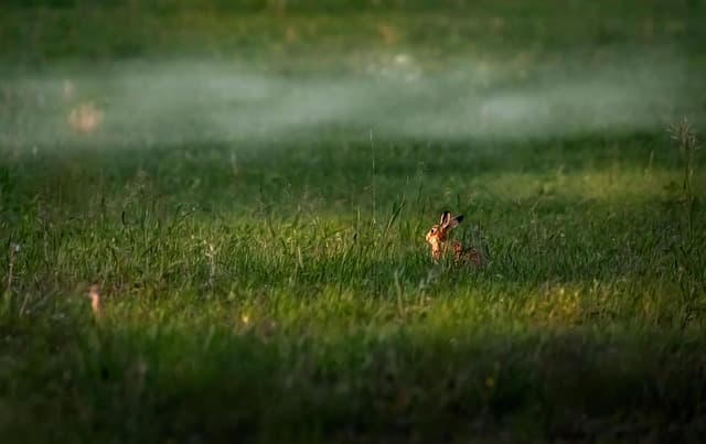 Insolite : 7 Activités Originales à Découvrir en France